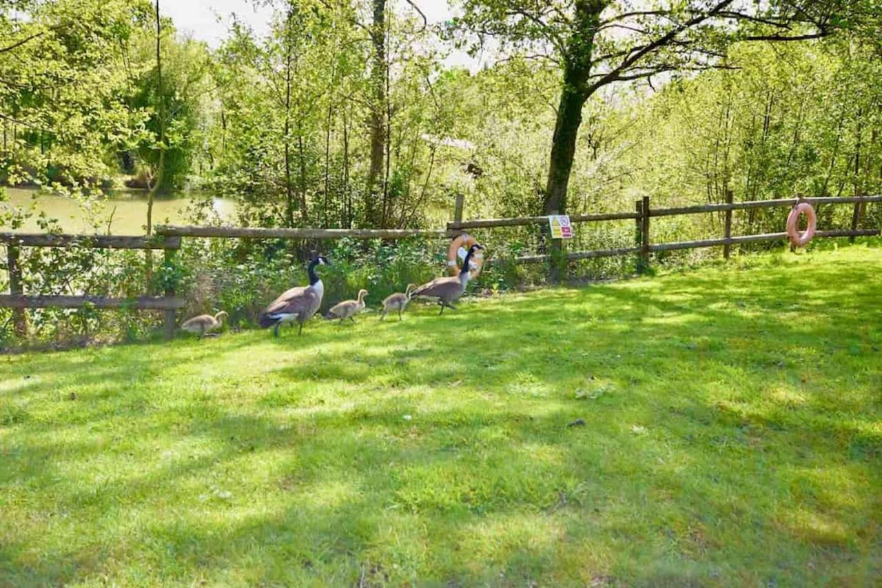 E7 Roebeck Country Park Vila Ryde  Exterior foto